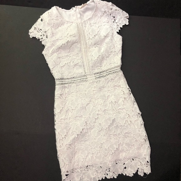 Main Strip White Lace Dress - Picture 8 of 16